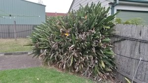 20140314_122855_Richtone(HDR)