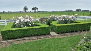 20141111_125246_Richtone(HDR)