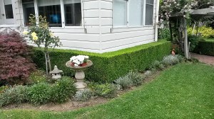 20141111_125432_Richtone(HDR)