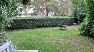 20141111_125626_Richtone(HDR)