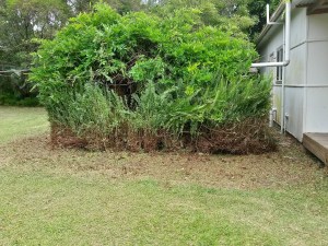 20151207_133928_Richtone(HDR)_01