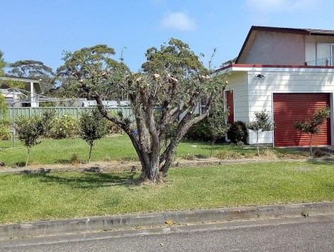 IMG_20160314_142129_01