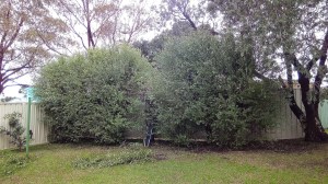 IMG_20160708_105634_01