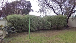 IMG_20160708_133339_01