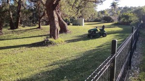 IMG_20160711_152548_01